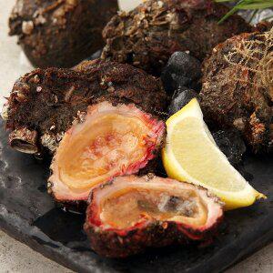 [바다담음] 통영 돌멍게(자연산) 1kg(5~8미)