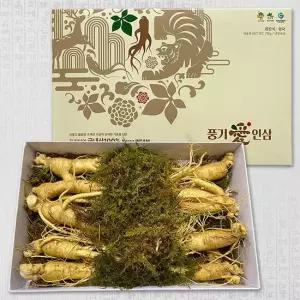 [풍기인삼] 6년근 500g 난발삼(중) 8~10뿌리