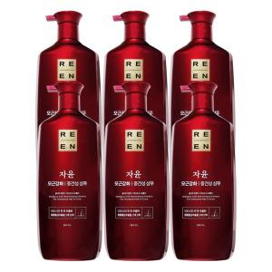 리엔 자윤 오리엔탈 모근강화 중건성 샴푸 950mL x 6개
