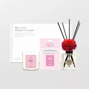 [텐바이텐]프레이 카네이션 선물세트 A 라이트 소이캔들 디퓨저