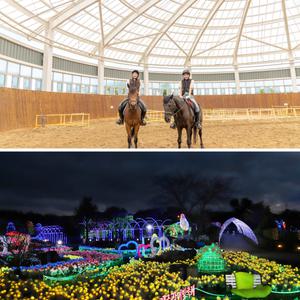 [제주] 더마파크+불빛정원 / 제주도 여행 실외관광지 공연 승마 카트 이색체험 야간 명소
