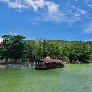 [보홀] 핵심 육상데이투어 (로복강선상뷔페, 초코릿힐, 안경원숭이, 맨메이드숲)