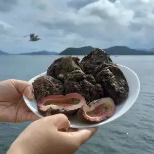 바다의 맛을 머금은 돌멍게 1kg