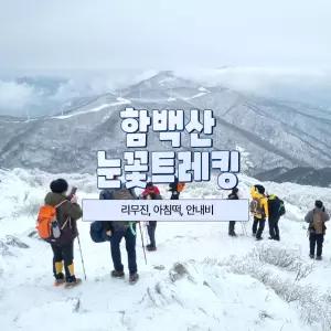 [강원] 리무진버스 - 태백 함백산 눈꽃 트래킹 당일여행