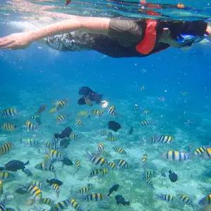 세부 6일 #소토그란데리조트 #전신마사지 #전문다이빙강습 #1일자유일정 #특식3회 #망고1KG