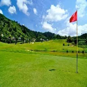 푸껫 골프 5일 #골프텔 #18홀*3회 로치팜GC #티니디리조트 #2인출발