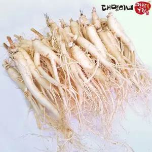 [대명이네 인삼농장](세척) 대 삼계삼 25뿌리내외 750g/인삼 수삼 주스용 홍삼용 삼계탕용