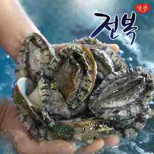 완도대사이즈 활전복마리당65~80g 12미 // 22미 [TV홈쇼핑 동일상품]