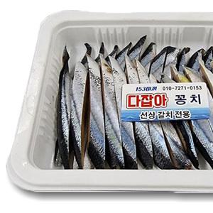 텐빈 갈치 낚시 염장 꽁치 미끼