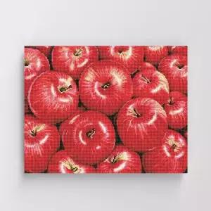 [보리보리/아트박스 POOM]아트박스/아이러브페인팅 DIY캔버스형 보석십자수 40x50cm 행운의 홍사과