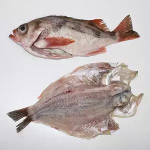 볼락 제주산볼락 200g이상 3마리 구이/튀김용