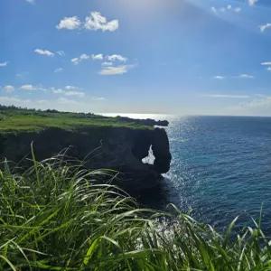 [1명부터 출발] 오키나와 북부 일일 버스 투어 츄라우미 수족관 입장권 포함 한국인가이드