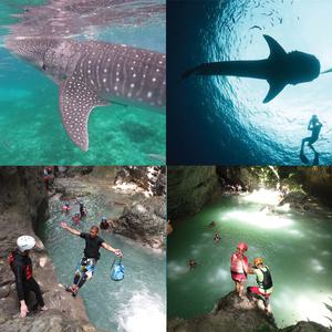 [패스트트랙] 오슬롭 고래상어 + 캐녀닝 (조인 단독 공항픽업무료 스타인세부)