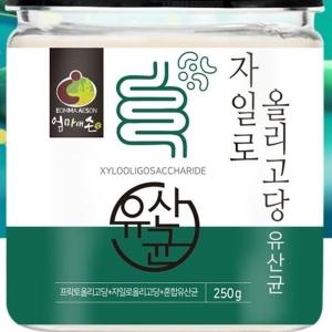 [RGM37SO1]자일로올리고당 250g OM 분말 건강보조식품 차