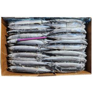 냉동 꽁치2번 9.5kg1박스 90미내외 구이 조림 갈치낚시 과메기