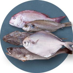 [해남미소] 삼삼수산 반건조생선 선물세트1호(도미,양태,민어,백조기,병어 각1미)