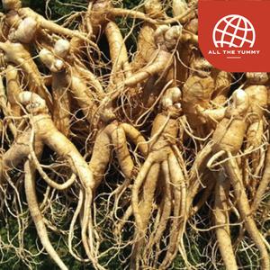 [올더야미] 풍기인삼 6년근 난발삼 종이각 포장 750g(18-24뿌리)