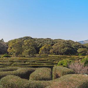 [제주] 메이즈랜드