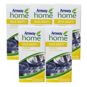 암웨이 디쉬 드랍스 스크럽버즈 스테인레스 스틸 수세미 5개