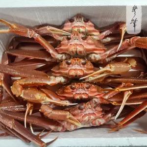 무화수산 영덕대게 수율보장 활 대게 대 (10cm 이상) 3마리