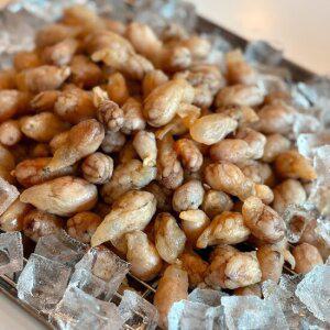 남해안 당일바리 제철 오동통 오만디 냉동 오만둥이 2kg