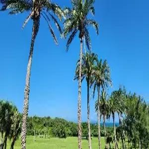 [만남[滿南]]대만/가오슝/컨딩/타이난 4일#아이허 #컨딩일주 #치메이박물관 #육합야시장