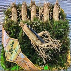 금산인삼 6년근 5년근 원수삼 특대 5,6뿌리 추석 설날 부모님 지인 명품 수삼 선물세트