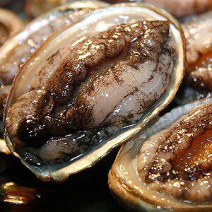 [미각기행] 완도 전복 9-10미 1kg