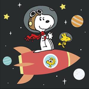 [JH4P0267_51AJ]그리기 페인팅 피너츠 스누피 25X25