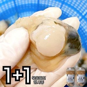 국산 고성 홍가리비 순살 관자 세척 손질