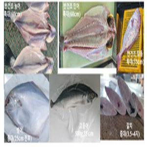 국내완도산감사선물세트자연산 반건조농어 민어,참돔,병어 고등어 갈치 모듬세트