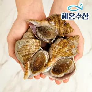 [해온수산] 자연산 삐뚤이소라 8미내외 1kg