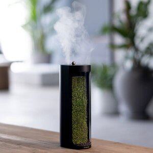 [무케렌시아][무케] 모스랩_천연이끼가습기 모스에어 블랙 가습기  데스크테리어 공기정화 반려식물