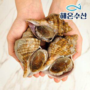 [해온수산] 자연산 삐뚤이소라 8미내외 1kg