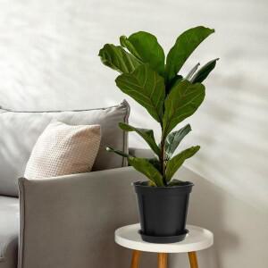 실내 휴대용 화분 배수 두꺼운 구멍이 있는 쏘서 난초 3X