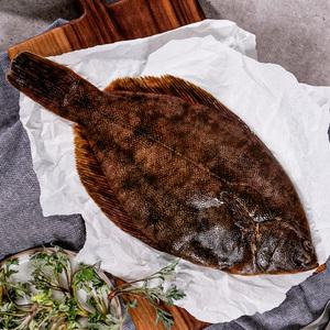 한그슥 국내산 자연산 제철 도다리 10kg 원물 냉동 도매 대용량 도다리쑥국