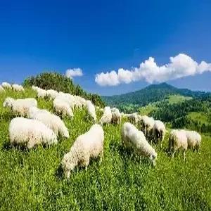 타이중 자유여행 4일#오후출발 #왕복항공권 #여행자보험 #무제한유심