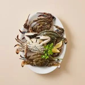 [롯데백화점]올가홀푸드 [산지직송]자연산 진도 봄꽃게 (1kg)