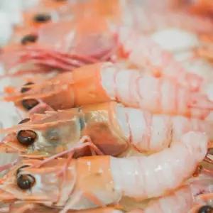 남해안 횟감용 손질딱새우 25미