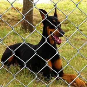 20m 아연도금 철조망 안전망 울타리 펜스 그물 야생동물방지망