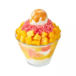 [설빙] 자.망.코.설빙