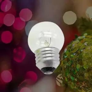 꼬마전구 투명 WFGZ255