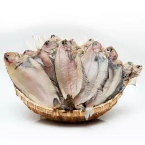 동해안 반건조 가자미(물가자미) 1kg (8-12미)