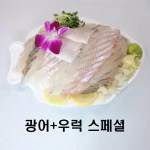 [노다지수산][광어+우럭] 스페셜 활어 모듬회 + 6종양념