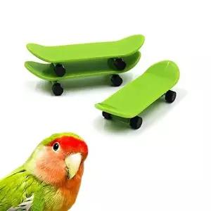 [셀러허브 1]SFW 앵무새 스케이트보드