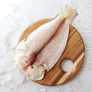 [산지직송] 제주 간편 손질옥돔(왕특대) 5마리