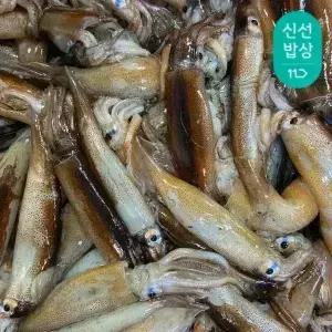 [품질보장] 이순신수산 국내산 신진도 내장가득 통오징어 800g(중 3미) 신선포장