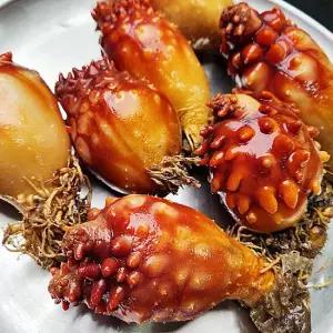 국내산 활 멍게 2kg