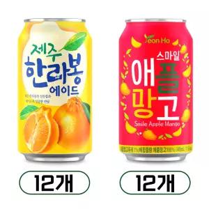 연호음료 제주 한라봉 에이드 12개 + 스마일 애플망고 12개