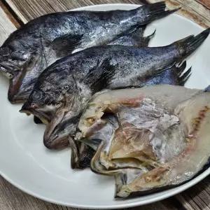 북해도 반건조 우럭 3미